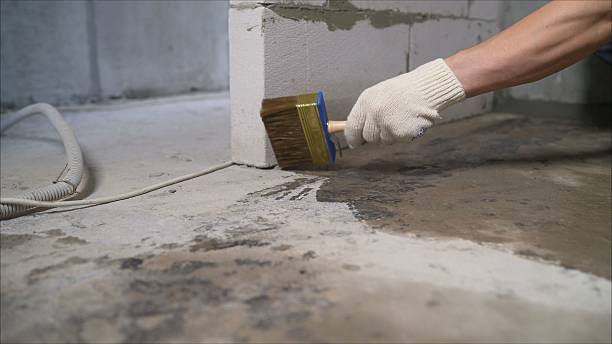 24/7 Emergency Crawl Space Encapsulation experts in Homer, GA